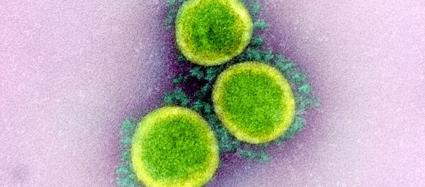 Микрофотография частиц коронавируса в клетке зараженного человека Микрофотография частиц коронавируса в клетке зараженного человека - Sputnik Южная Осетия