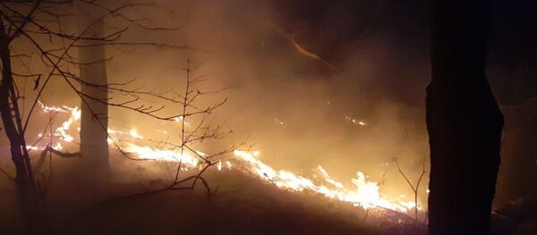 В Ленингорском районе Южной Осетии третий день тушат пожар В Ленингорском районе Южной Осетии третий день тушат пожар - Sputnik Южная Осетия