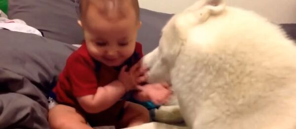 Малыш и пес Малыш и пес - Sputnik Южная Осетия