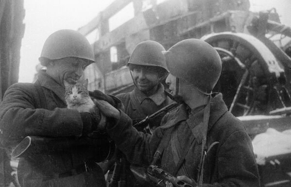 Мирные воспоминания. Сталинград, 1943 г. - Sputnik Южная Осетия