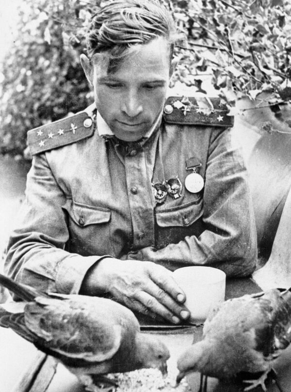 Штурман 263-го истребительного авиационного полка, капитан Виктор Васильевич Попов, 1943 год - Sputnik Южная Осетия