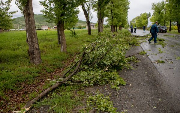 Упавшее дерево на трассе близ Цхинвала - Sputnik Южная Осетия