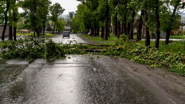 Упавшее дерево на трассе близ Цхинвала - Sputnik Южная Осетия
