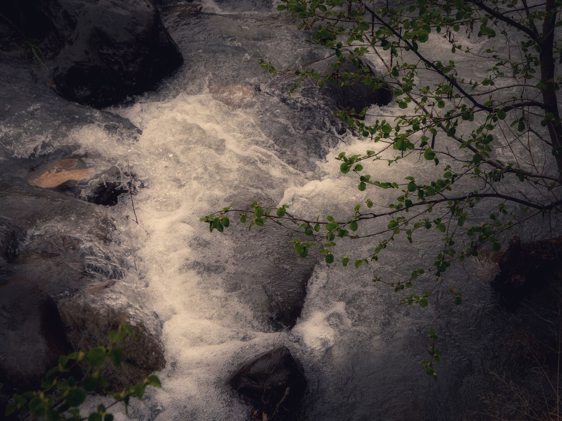 Она сильная река. Река Геналдон в Северной Осетии. Долина реки Геналдон. Река Геналдон фото. Чеселтское ущелье.