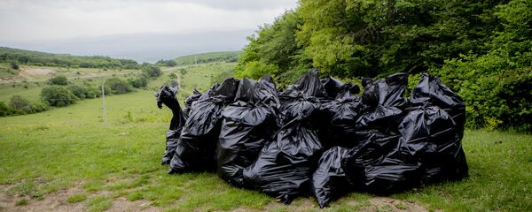 Субботник, организованный Комитетом по молодежной политике, туризму и спорту. - Sputnik Южная Осетия