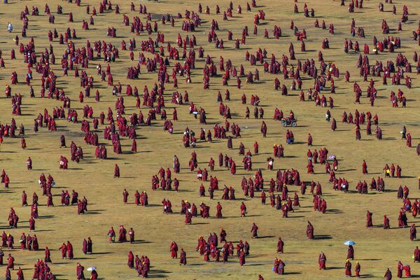 Снимок Pattern of Grassland фотографа Shinya Itahana, попавший в шортлист конкурса Portrait of Humanity 2020 - Sputnik Южная Осетия