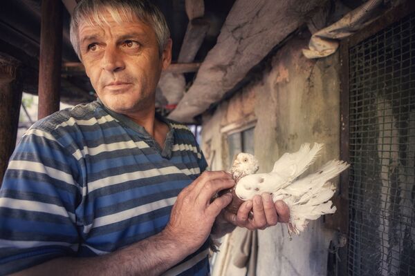 Любитель голубей Робинзон Мишвелидзе - Sputnik Южная Осетия