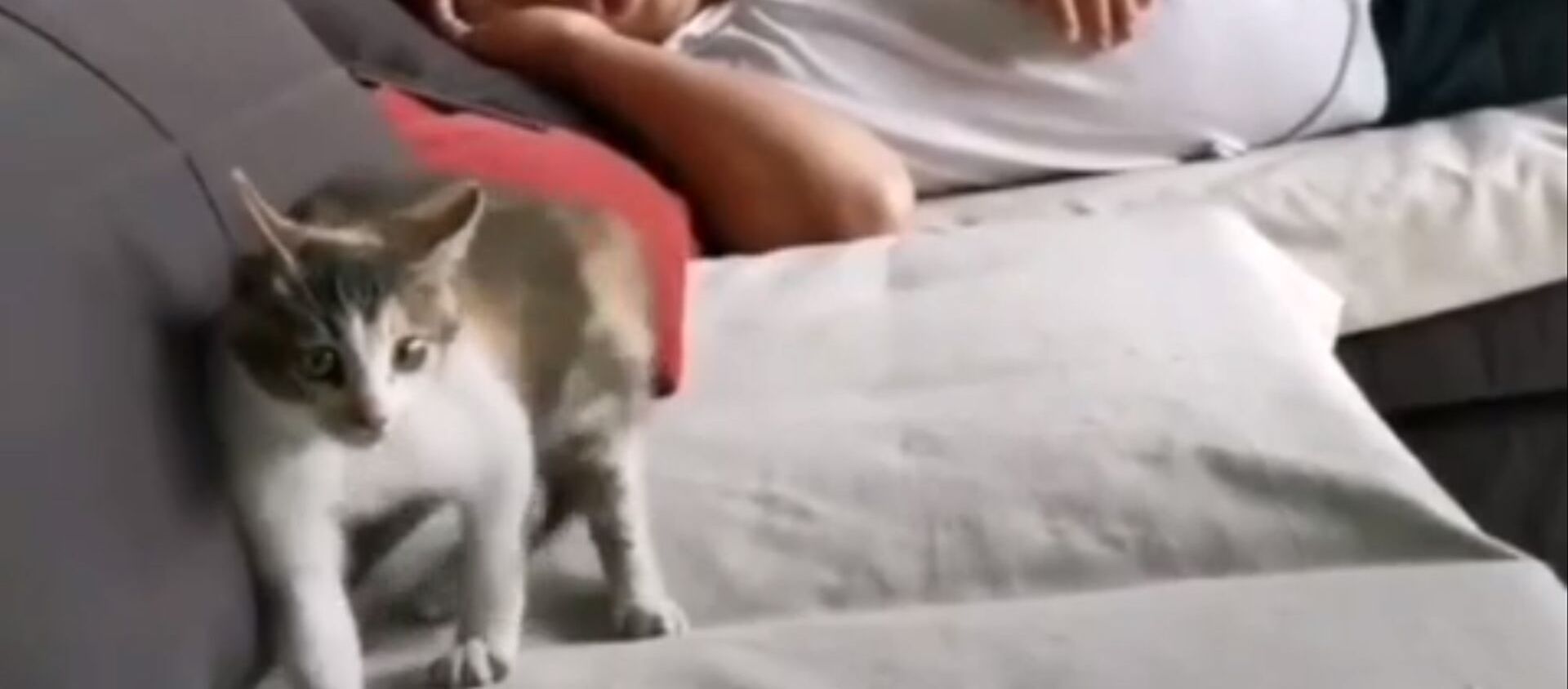 Возбужденная кошка раздета на вилле