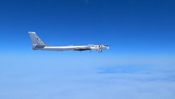 Русские “медведи” напугали США: Ту-95МС совершили полет над Тихим океаном - Sputnik Южная Осетия