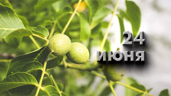 День 24 июня - Sputnik Южная Осетия