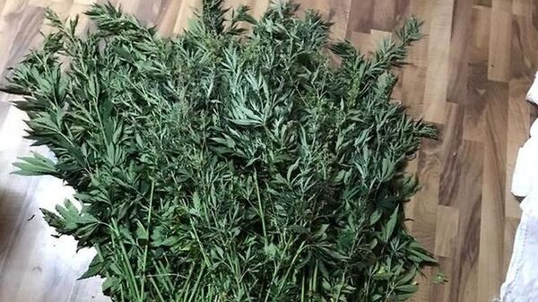 Хуссар Иры милици ссардта гӕны цалдӕр сӕдӕ къутӕры - Sputnik Хуссар Ирыстон