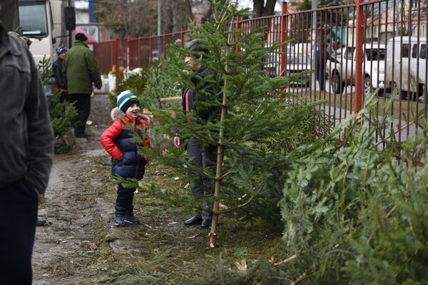 Как ни крути, а для малышей Новый Год — это, в первую очередь, елка. Ну и подарки, конечно! - Sputnik Южная Осетия
