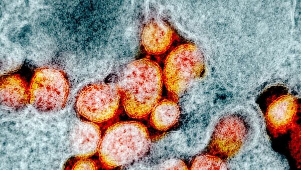 Микрофотография частиц коронавируса в клетке зараженного человека - Sputnik Южная Осетия