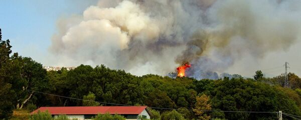 Цӕгат Иры УУМ фӕдзӕхсы зынгсирвӕзттӕй - Sputnik Хуссар Ирыстон