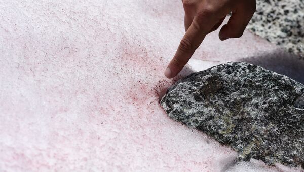 Розовый лед в Альпах назвали маркером точки невозврата в процессе глобального потепления - Sputnik Южная Осетия