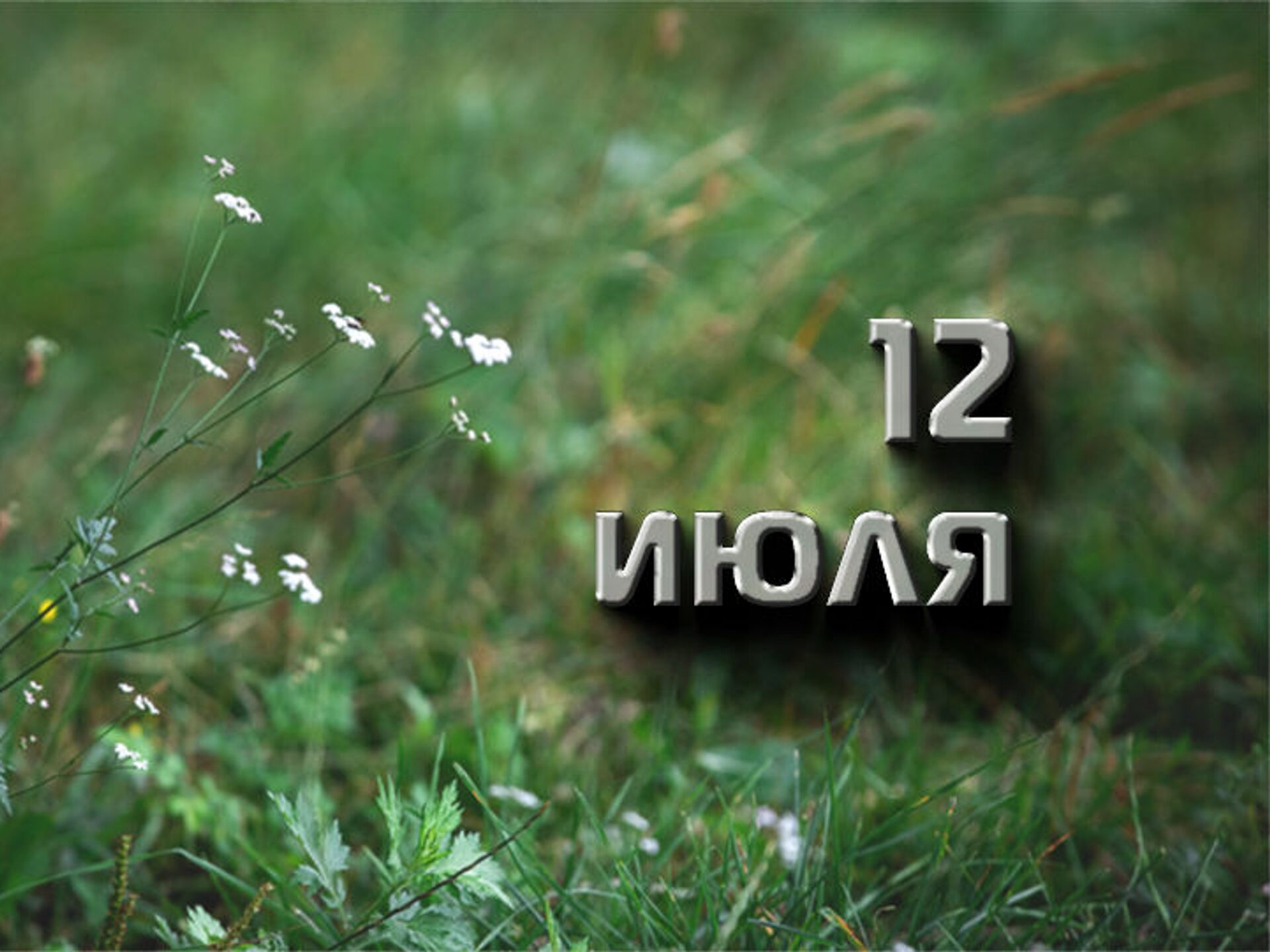 21 декабря июль. 12 Июля. 12 Июля праздник в России. Праздники 12 июля 2022. Праздник с 11 на 12 июля.