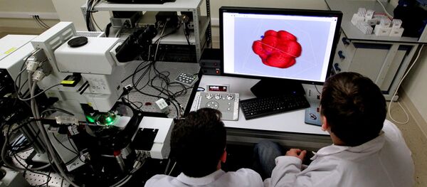 Лаборатория биомедицинских клеточных технологий во Владивостоке Лаборатория биомедицинских клеточных технологий во Владивостоке - Sputnik Южная Осетия