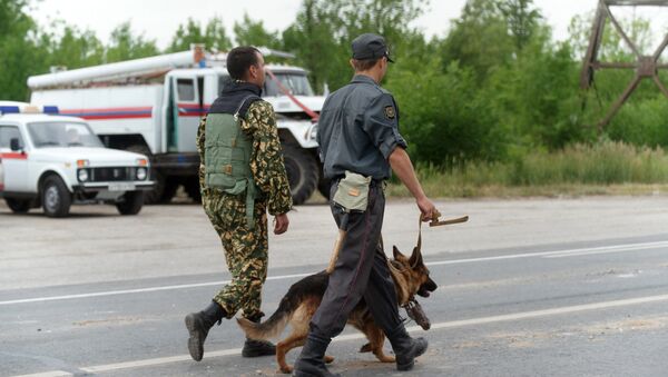 МЧС ДНР обезвредила бомбы - Sputnik Южная Осетия