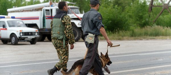 МЧС ДНР обезвредила бомбы МЧС ДНР обезвредила бомбы - Sputnik Южная Осетия