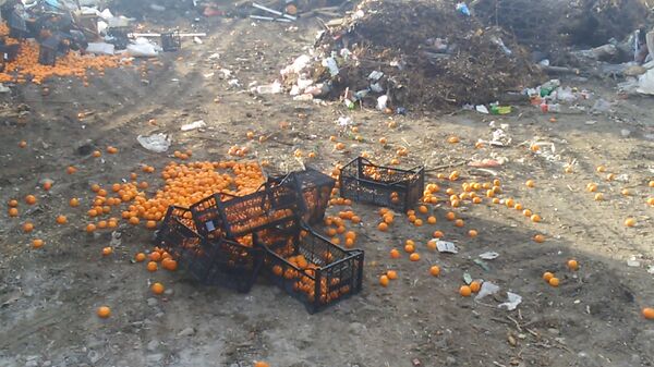 Cанкционные мандарины во Владикавказе раздавили бульдозером - Sputnik Южная Осетия