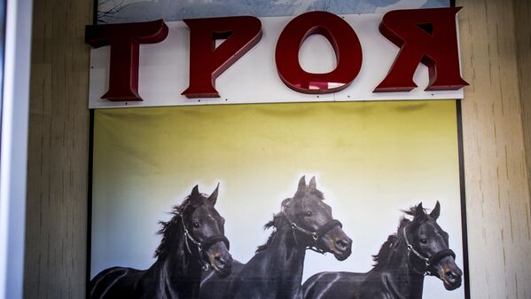 Магазинная вывеска посвящена то ли Троянскому коню, то ли русской тройке. Не хватает Ахиллеса. - Sputnik Южная Осетия