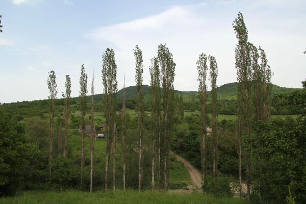 Многодетная семья из села Корнис - Sputnik Южная Осетия