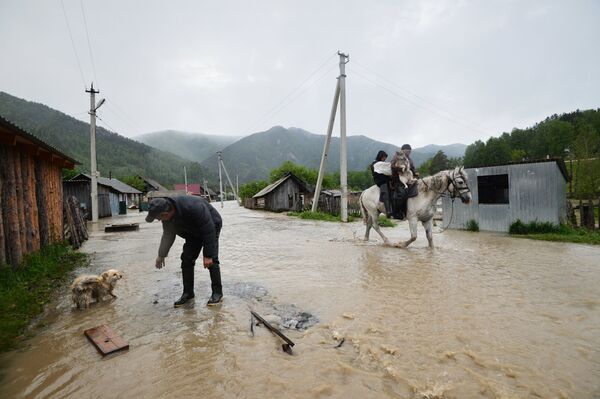Наводнение в горной местности - Sputnik Южная Осетия