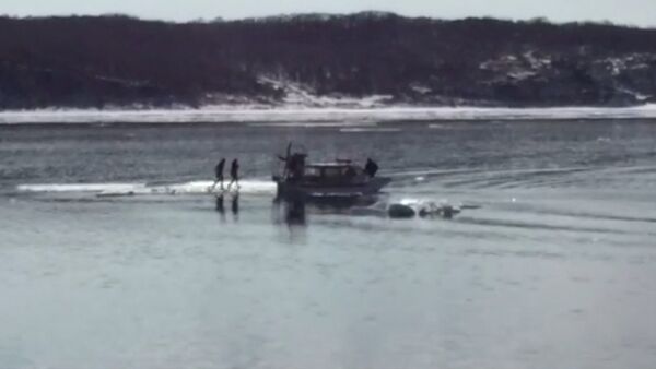 Спасатели на катере забрали с дрейфующей льдины двух любительниц селфи - Sputnik Южная Осетия