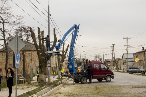 Обрубка деревьев на улице 8 июня - Sputnik Южная Осетия