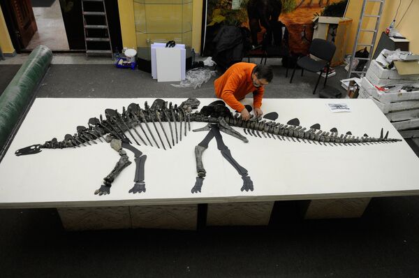 Скелет древнего стегозавра - Sputnik Южная Осетия