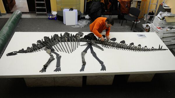 Скелет древнего стегозавра - Sputnik Южная Осетия