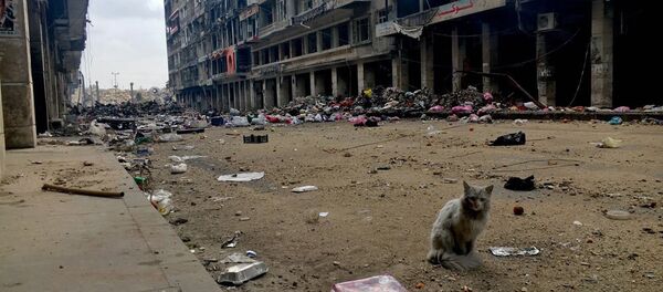 Сирийский город Алеппо - Sputnik Южная Осетия