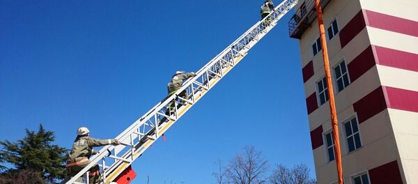 Зынгвæдисонты ахуыртæ Зынгвæдисонты ахуыртæ - Sputnik Хуссар Ирыстон