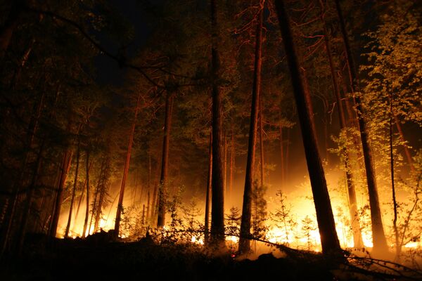 Тушение лесных пожаров в Красноярском крае - Sputnik Южная Осетия