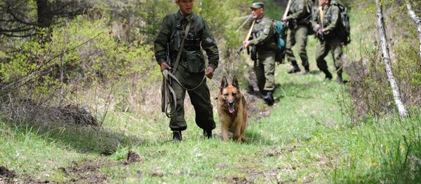 На участке границы с Казахстаном в Алтайских горах На участке границы с Казахстаном в Алтайских горах - Sputnik Южная Осетия