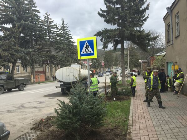 Вырубка елей на улице Московская - Sputnik Южная Осетия