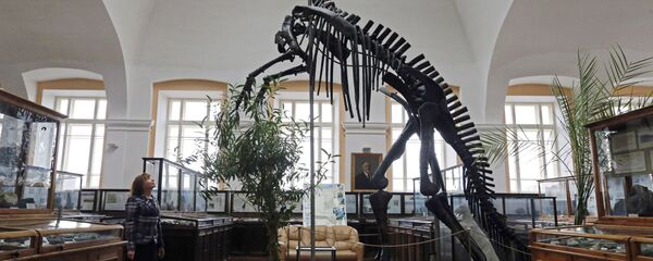 Центральный научно-исследовательский геологоразведочный музей имени академика Ф.Н.Чернышева Центральный научно-исследовательский геологоразведочный музей имени академика Ф.Н.Чернышева - Sputnik Южная Осетия