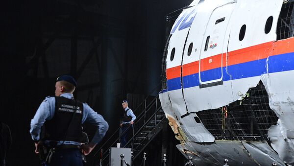 Доклад Совета безопасности Нидерландов по причинам крушения Boeing 777 - Sputnik Южная Осетия