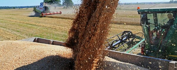 Уборка урожая зерновых Уборка урожая зерновых - Sputnik Южная Осетия