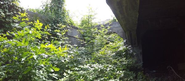 Подвал заброшенной стройки по ул. Маркова. - Sputnik Южная Осетия