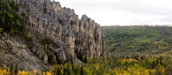 Национальный природный парк Ленские столбы в Якутии Национальный природный парк Ленские столбы в Якутии - Sputnik Южная Осетия