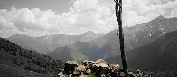 Башни Южной Осетии Башни Южной Осетии - Sputnik Южная Осетия