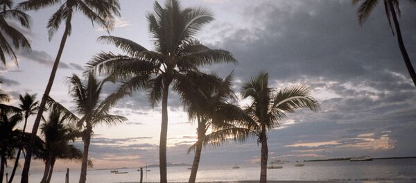 Песчаный пляж на острове Виту-Леви Песчаный пляж на острове Виту-Леви - Sputnik Южная Осетия