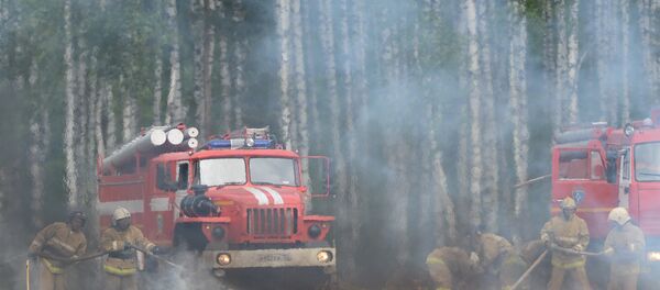 Ликвидация лесных пожаров - Sputnik Южная Осетия