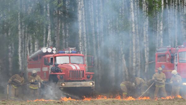 Ликвидация лесных пожаров - Sputnik Южная Осетия