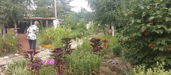 Центр Надежда - Sputnik Южная Осетия