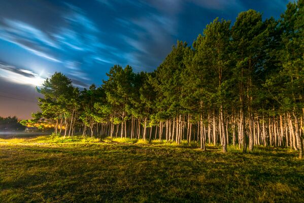 Деревья в Дубовой роще над Цхинвалом отражают ночные огни, может показаться, что здесь приземлился НЛО - Sputnik Южная Осетия