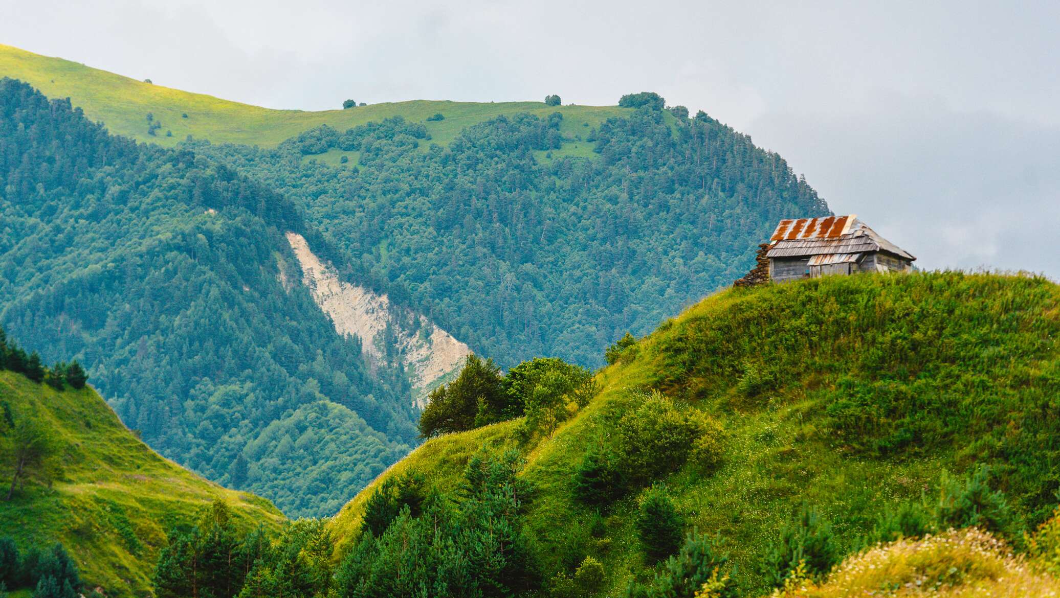 Джава южная осетия фото