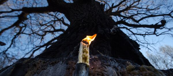 Сыгъдæг бынæттæ Сыгъдæг бынæттæ - Sputnik Хуссар Ирыстон