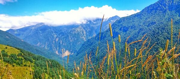 Цей Цей - Sputnik Южная Осетия